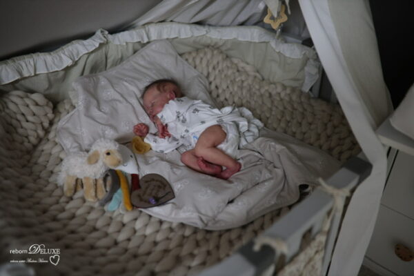 Rebornbaby Levi *adoptiert – Bild 9