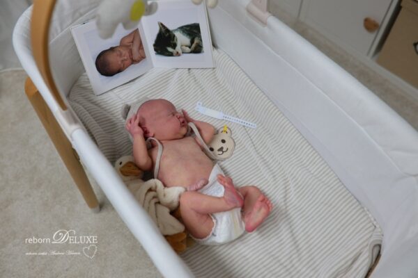 Rebornbaby Journey neugeboren – Bild 15