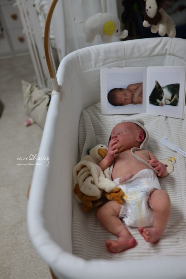 Rebornbaby Journey neugeboren – Bild 9