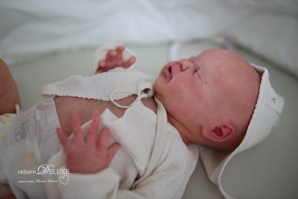 Rebornbaby Journey neugeboren – Bild 12