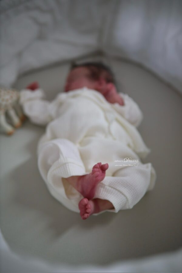 Rebornbaby Americus – Bild 10