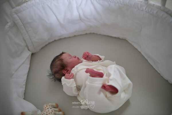 Rebornbaby Americus – Bild 12