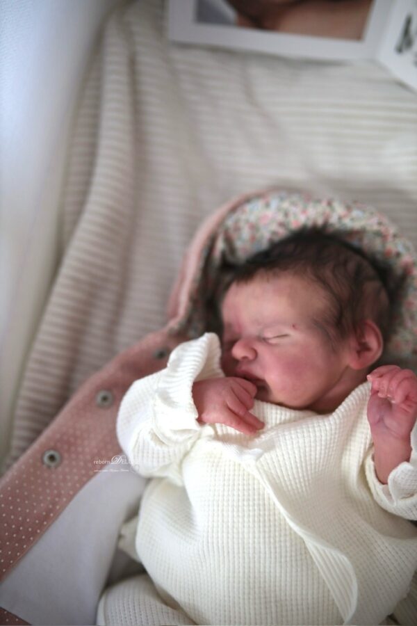 Rebornbaby Americus – Bild 21