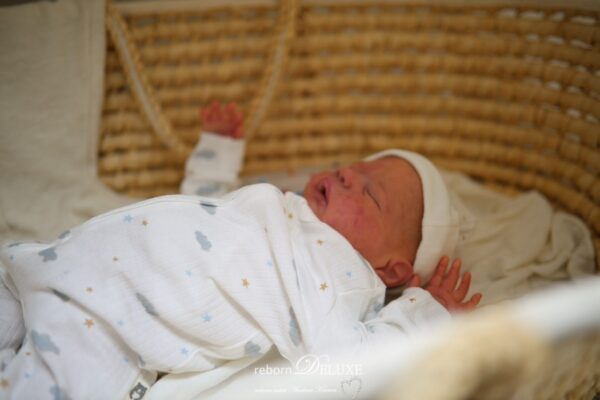 Rebornbaby Alessandro *verkauft – Bild 44