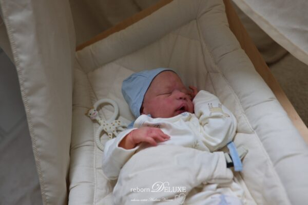 Rebornbaby Alessandro *verkauft – Bild 32