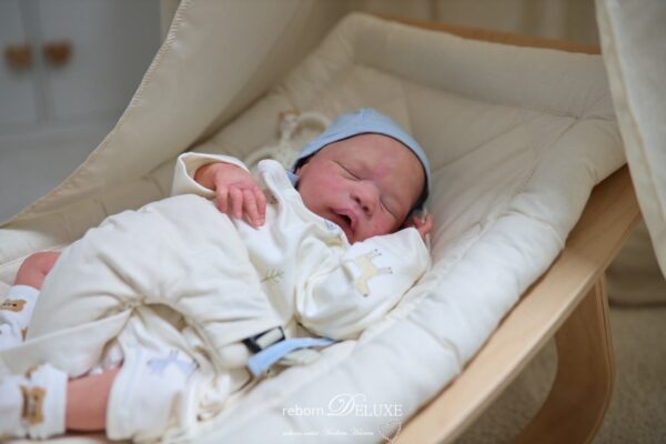 Rebornbaby Alessandro *verkauft – Bild 30