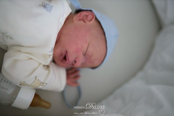 Rebornbaby Alessandro *verkauft – Bild 18