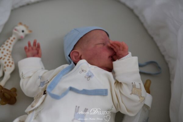 Rebornbaby Alessandro *verkauft – Bild 17