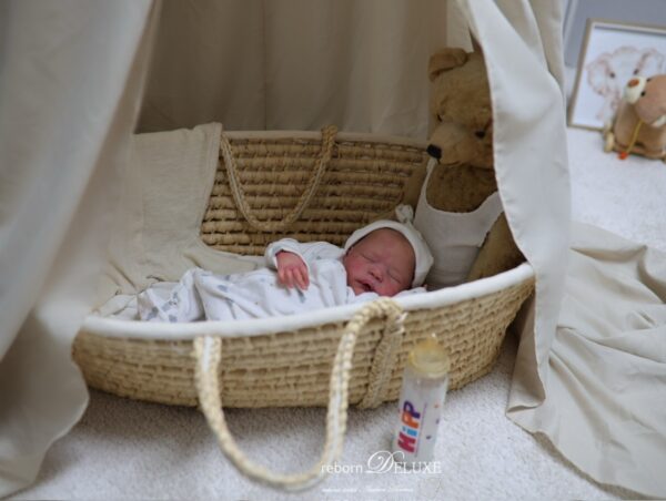 Rebornbaby Alessandro *verkauft – Bild 12