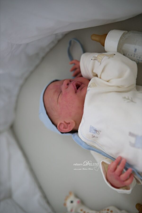 Rebornbaby Alessandro *verkauft – Bild 2