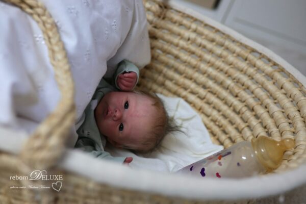 Rebornbaby Noah (Meadow) *verkauft – Bild 25