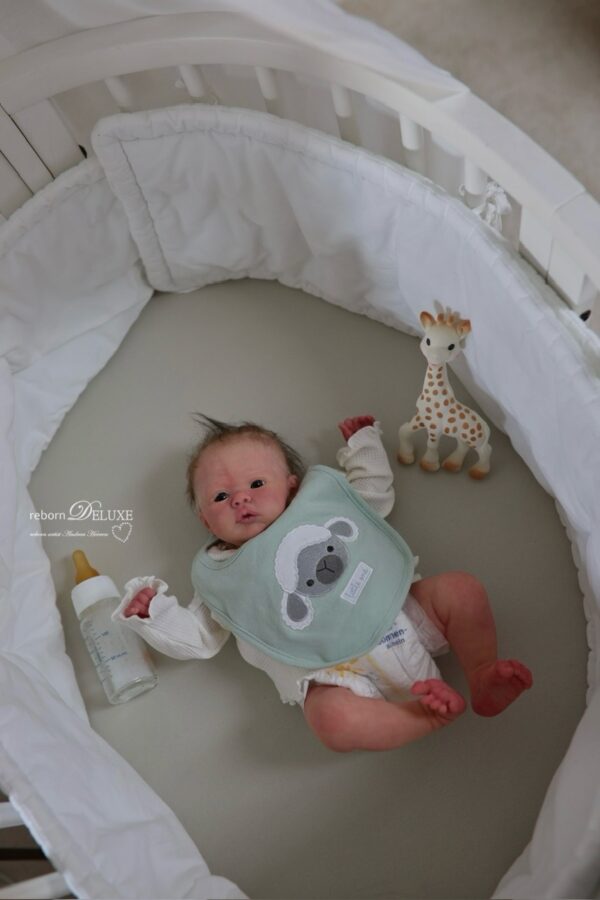 Rebornbaby Noah (Meadow) *verkauft – Bild 22