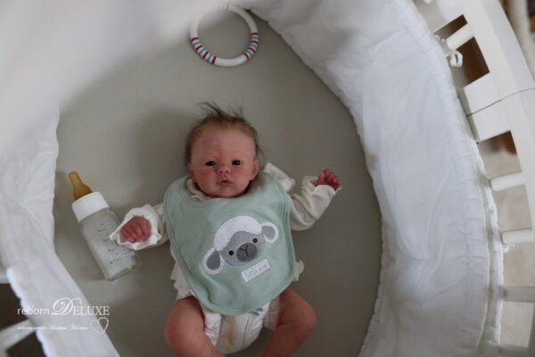 Rebornbaby Noah (Meadow) *verkauft – Bild 21