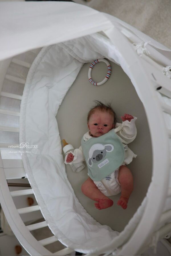 Rebornbaby Noah (Meadow) *verkauft – Bild 19