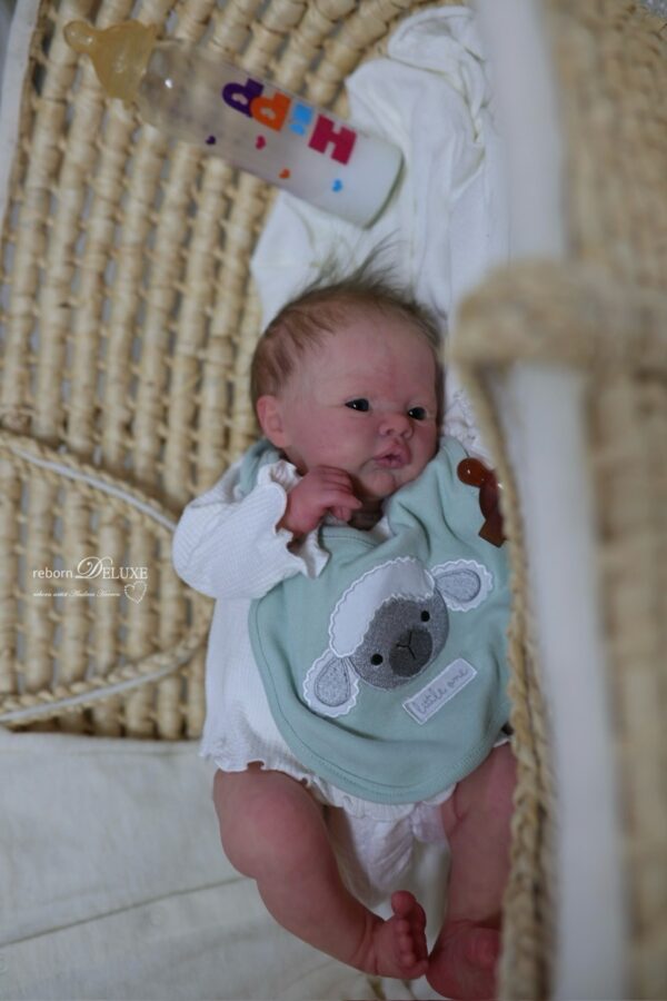 Rebornbaby Noah (Meadow) *verkauft – Bild 15