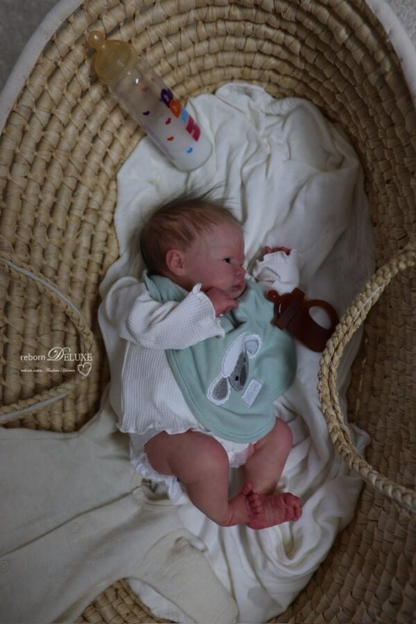 Rebornbaby Noah (Meadow) *verkauft – Bild 14