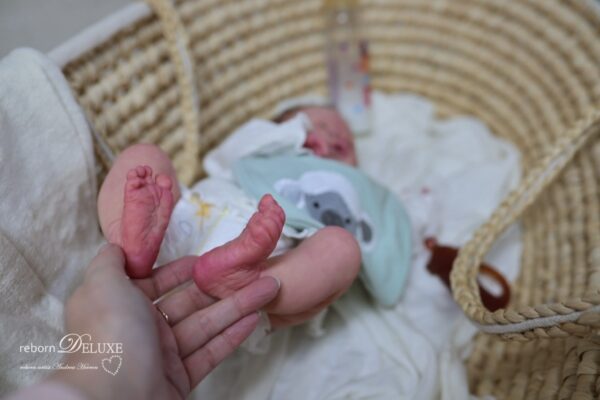 Rebornbaby Noah (Meadow) *verkauft – Bild 13