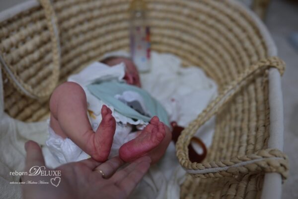 Rebornbaby Noah (Meadow) *verkauft – Bild 12