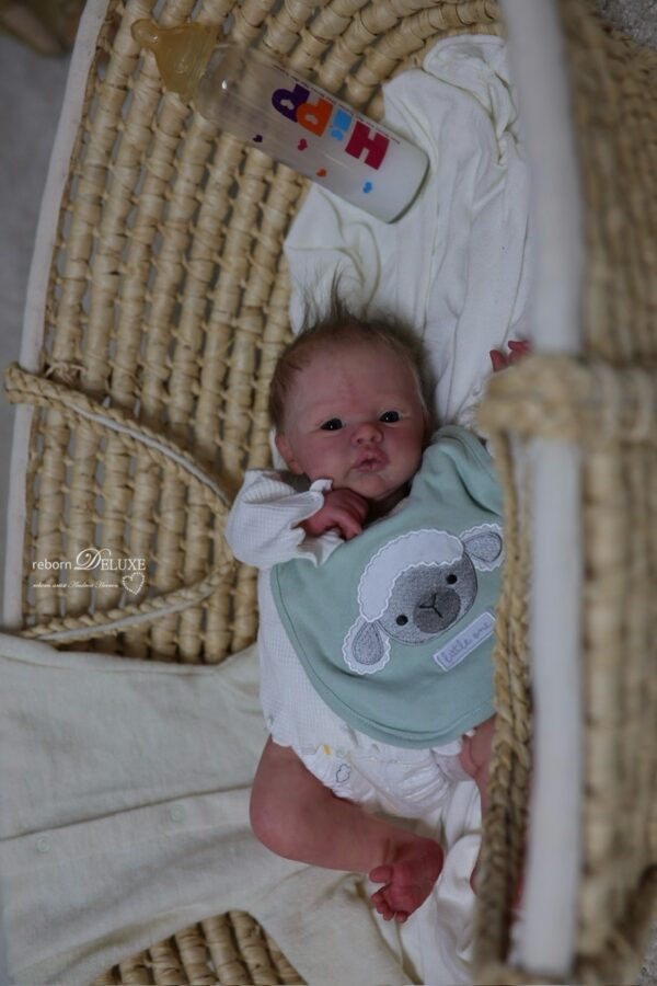 Rebornbaby Noah (Meadow) *verkauft – Bild 11