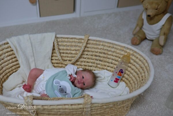 Rebornbaby Noah (Meadow) *verkauft – Bild 10