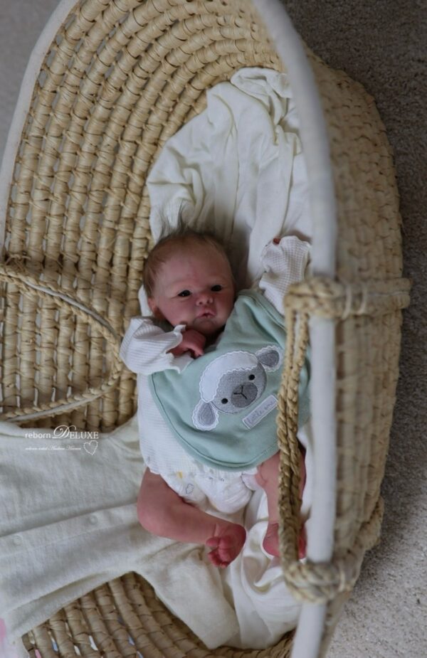 Rebornbaby Noah (Meadow) *verkauft – Bild 9