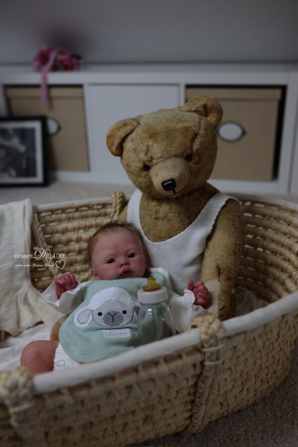 Rebornbaby Noah (Meadow) *verkauft – Bild 8