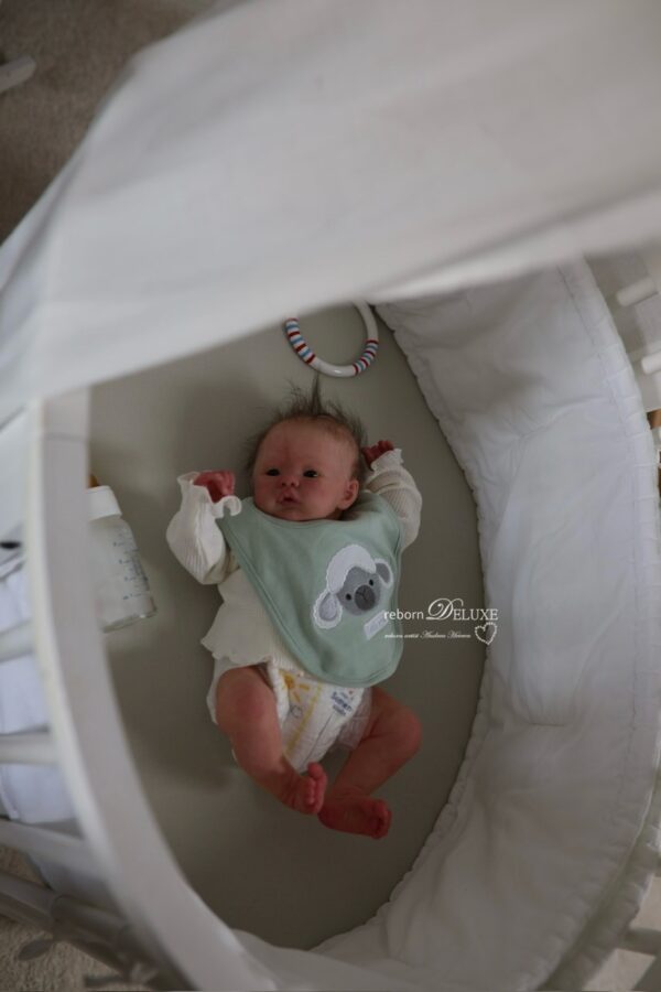 Rebornbaby Noah (Meadow) *verkauft