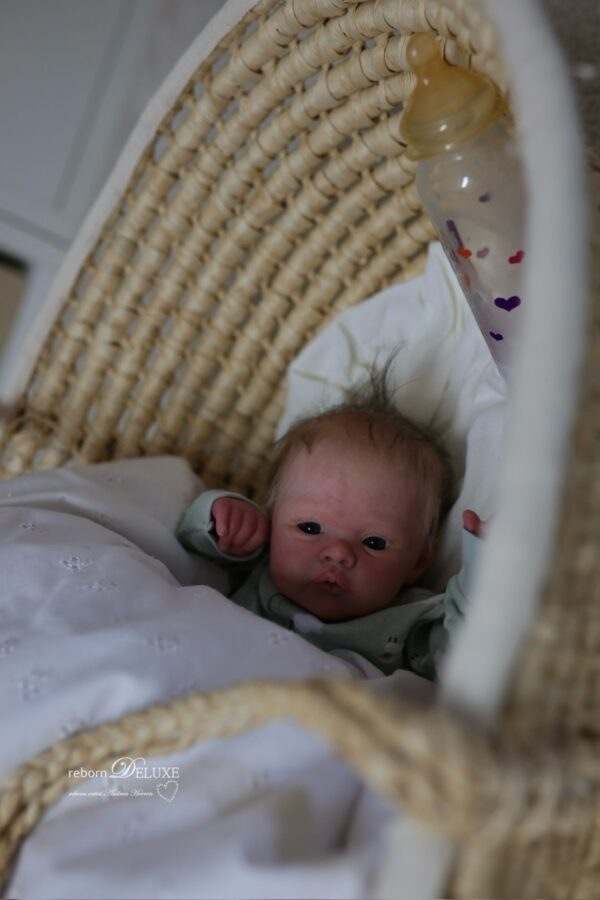 Rebornbaby Noah (Meadow) *verkauft – Bild 2