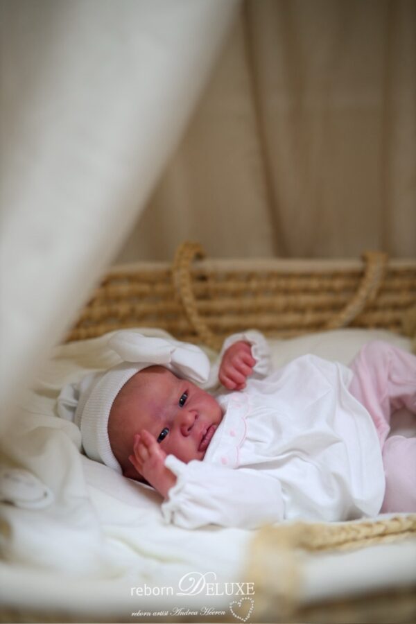 Rebornbaby Louise *verkauft – Bild 12