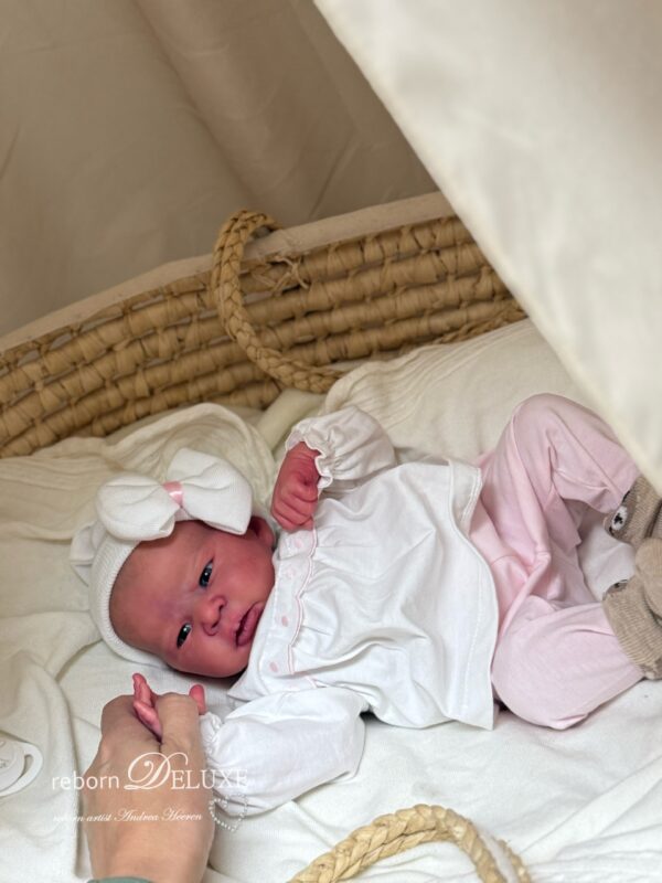 Rebornbaby Louise *verkauft – Bild 7
