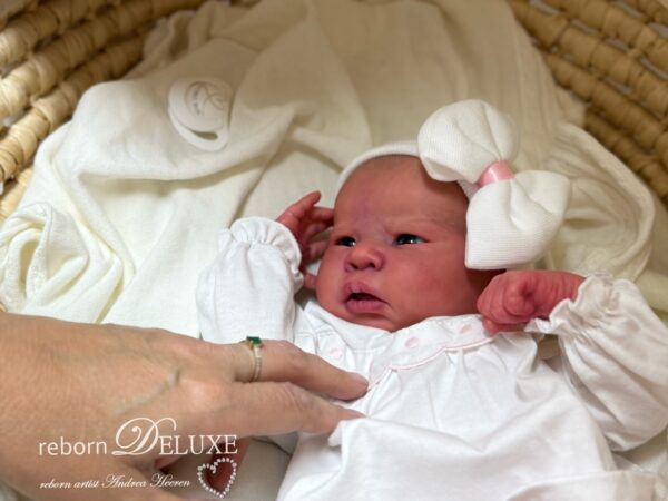 Rebornbaby Louise *verkauft – Bild 6