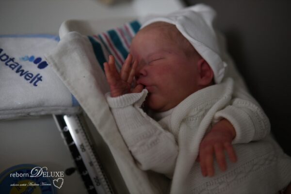 Rebornbaby Primrose *verkauft – Bild 18