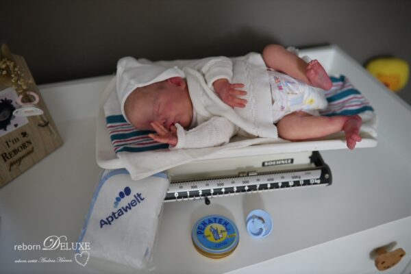 Rebornbaby Primrose *verkauft – Bild 35