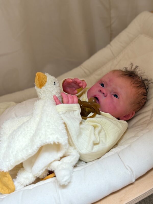 Rebornbaby Mayven *verkauft – Bild 41
