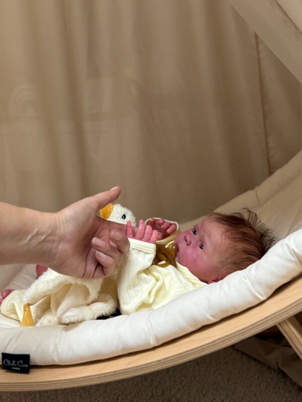 Rebornbaby Mayven *verkauft – Bild 43