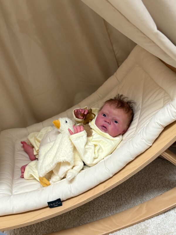 Rebornbaby Mayven *verkauft – Bild 40