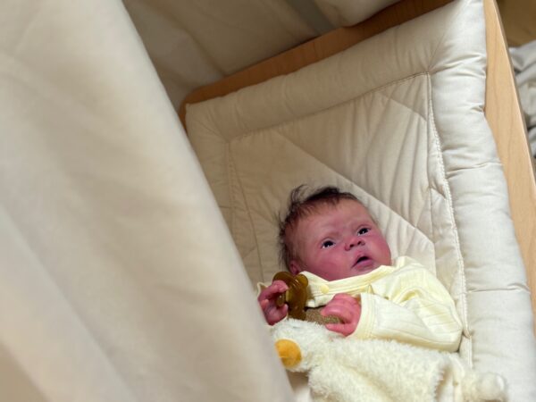 Rebornbaby Mayven *verkauft – Bild 44