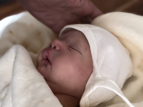 Rebornbaby Alessandro *COMING SOON
